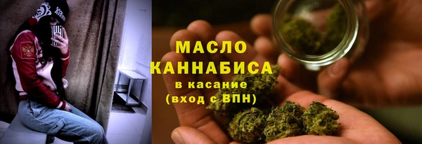 крисы Богородск