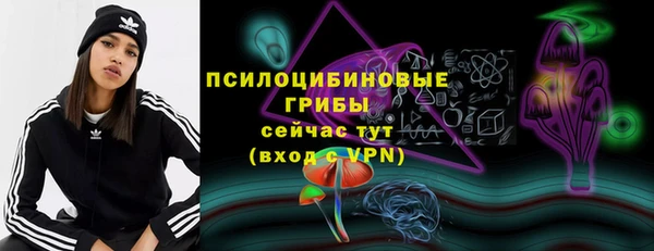 прущий лед Богородицк