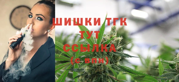 крисы Богородск