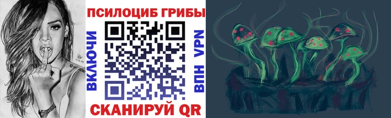 наркота  Красавино  Псилоцибиновые грибы Psilocybe 